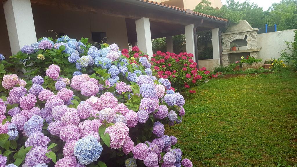 Bed & Breakfast Банджоле Экстерьер фото